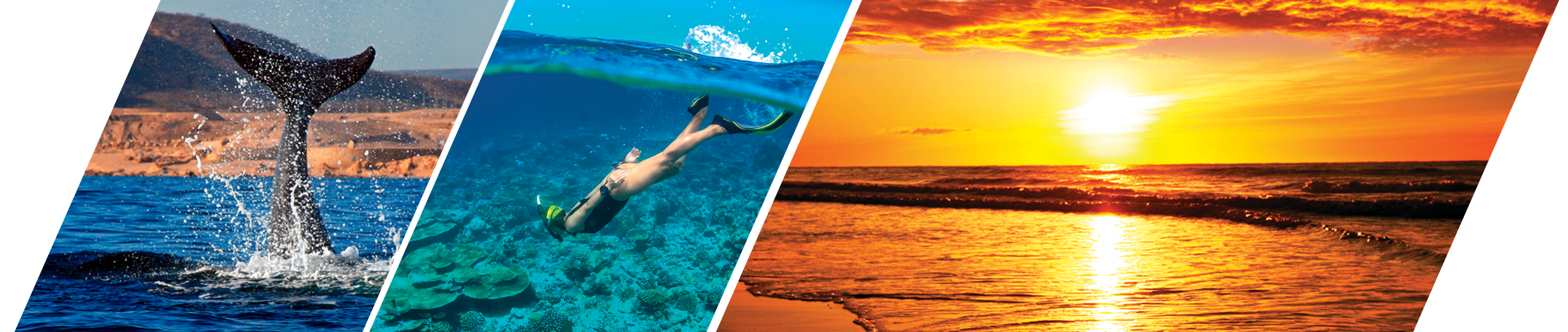 Convención Nacional 2020 • Los Cabos